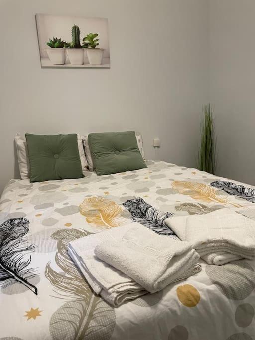 Cosy T3 Proche Gare Et Polygone Lägenhet Béziers Exteriör bild